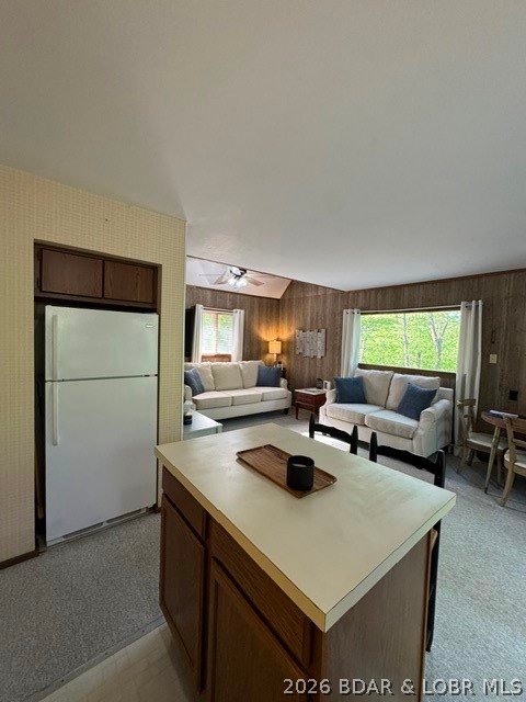 Ozark Shores - Residential