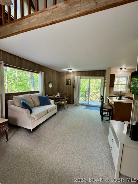 Ozark Shores - Residential