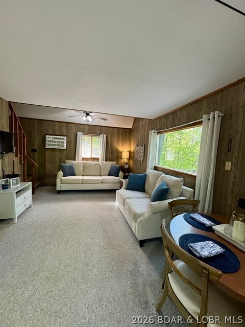 Ozark Shores - Residential
