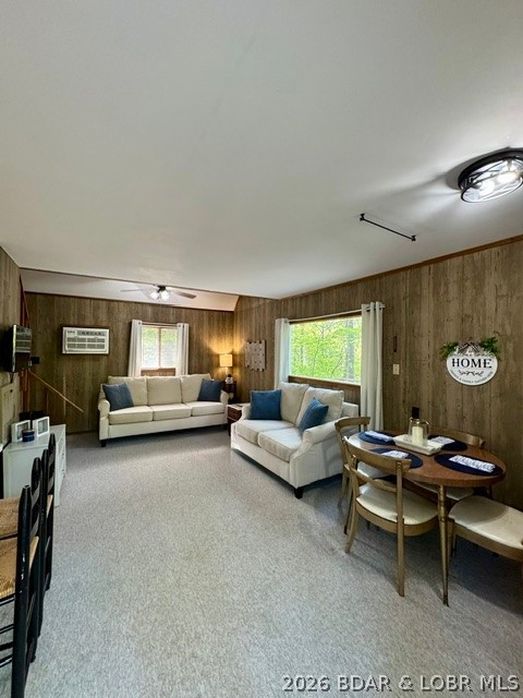 Ozark Shores - Residential
