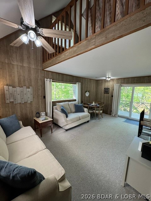 Ozark Shores - Residential
