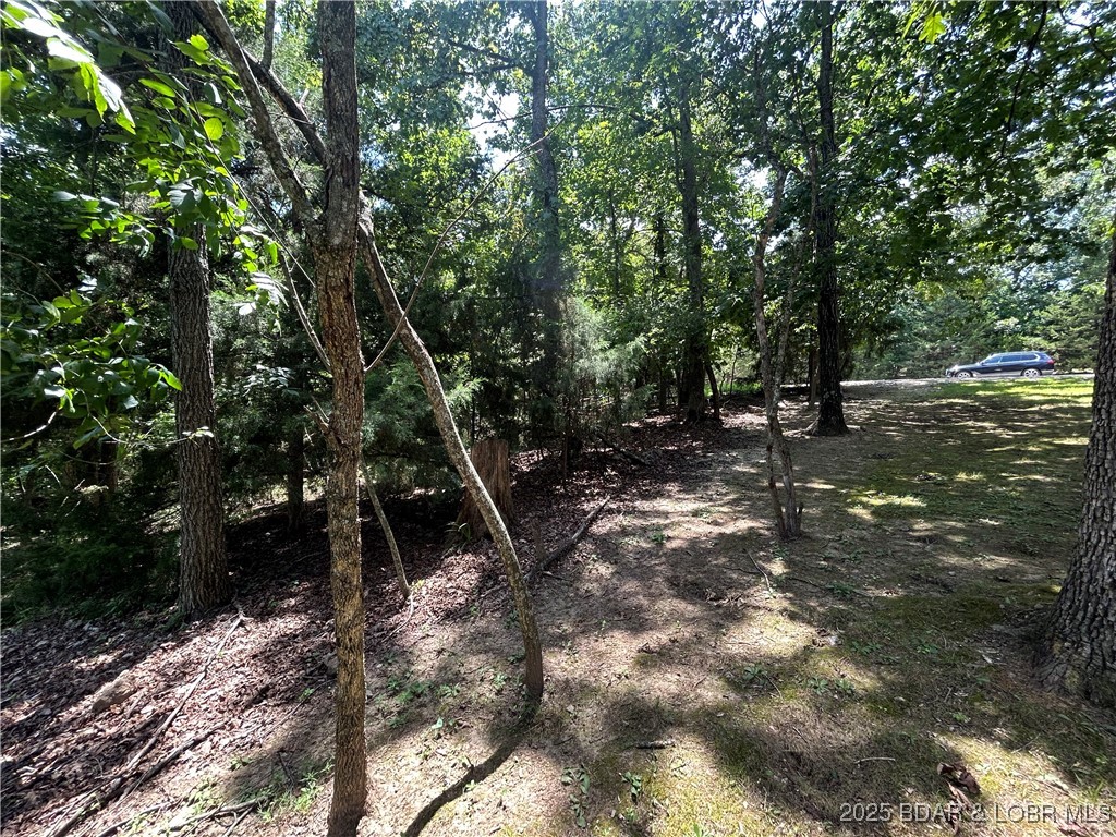 Located in Kay's Point #1 within the Village of Four Seasons, this nearly half-acre lot offers privacy and access to a wide range of amenities from stocked fishing lakes and pools to tennis courts, dog parks, and even a private campground.
And when you're ready to venture out, you're just minutes from local favorites like Horseshoe Bend Bar and Grill, plus shopping and entertainment options around Lake Ozark. With electrical hookups already at the street, it’s primed for building your perfect getaway.  Act fast, call today!