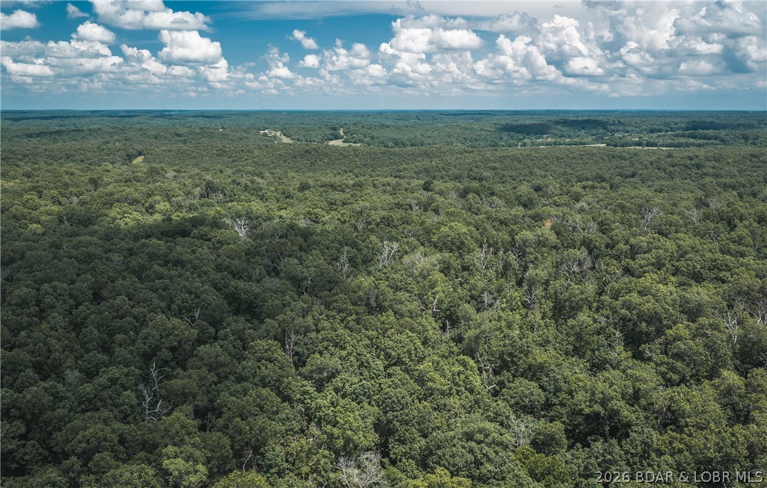 40 m/l acre tract located in Camden County. This tract has mature, old growth ,marketable timber. Great deer and turkey hunting.  Close proximity to the little Niangua creek and Lake Of the Ozarks for great fishing and recreation. An access road is being put in the center between the tracts and will have an electric access easement in place along it. More tracts available. Tracts to be surveyed. Owner will entertain selling other options.