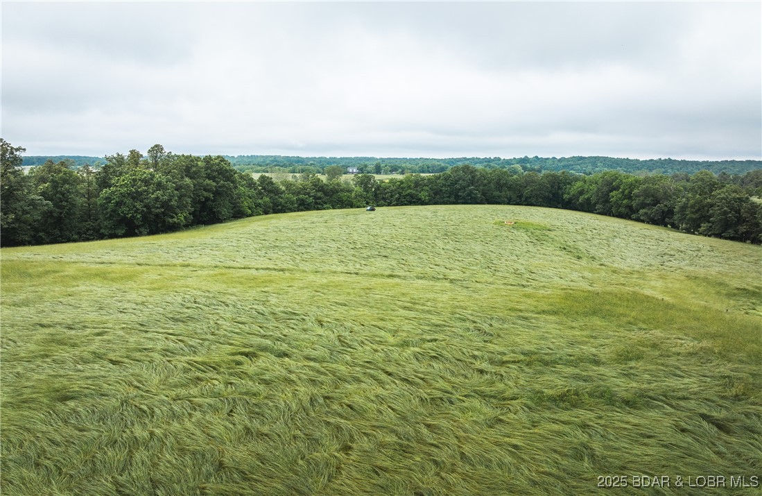 Out of Area - Land