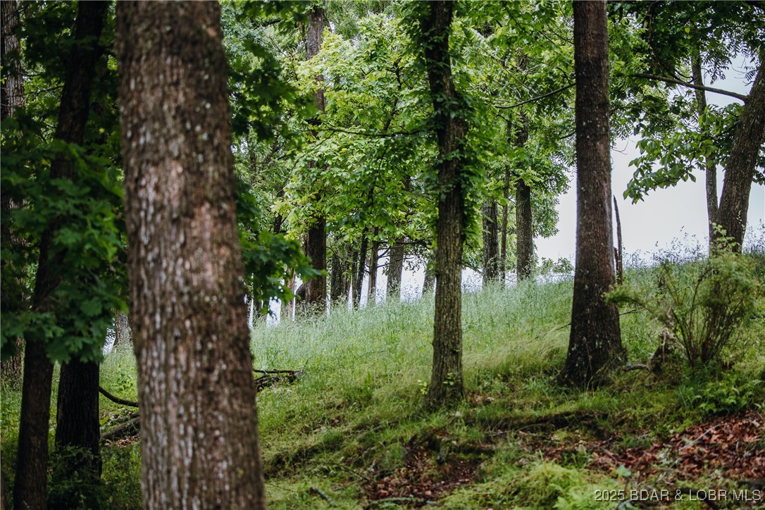 Out of Area - Land