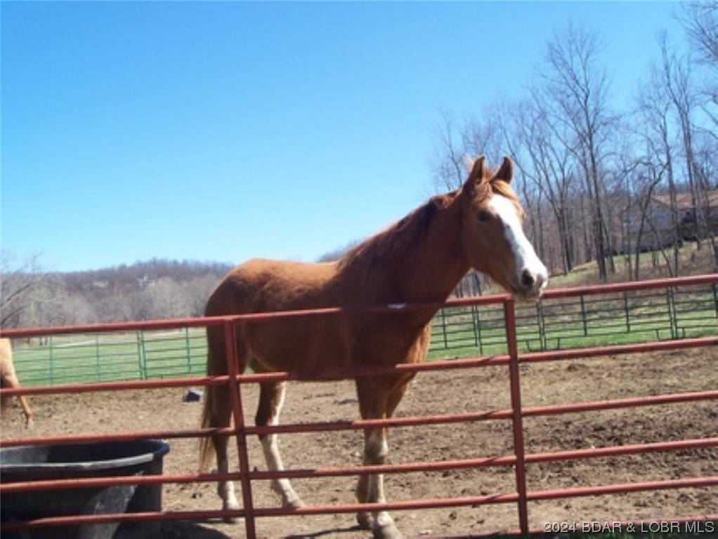 Camelot Estates - Land