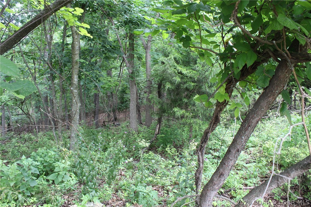 Island View Acres - Land