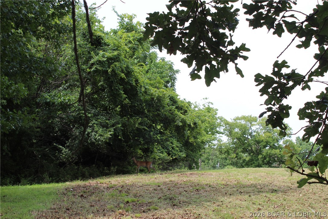 Island View Acres - Land