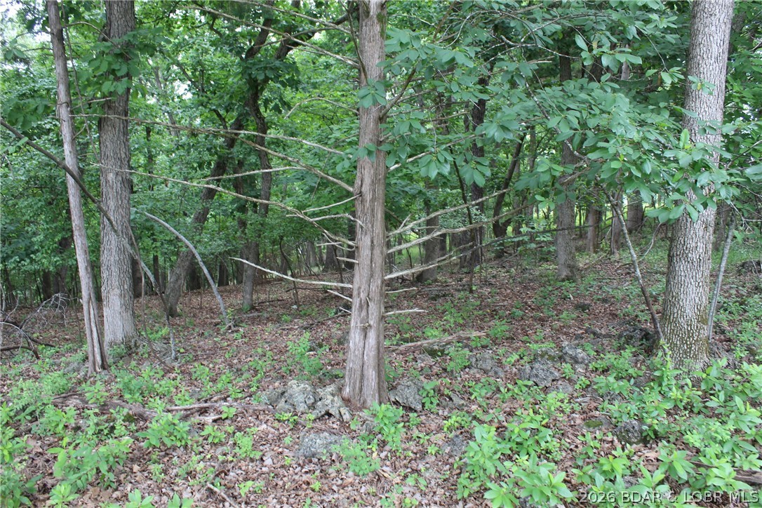 Island View Acres - Land