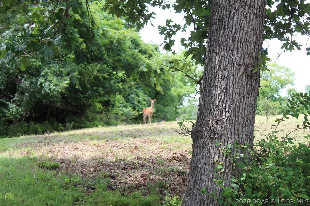 Island View Acres - Land