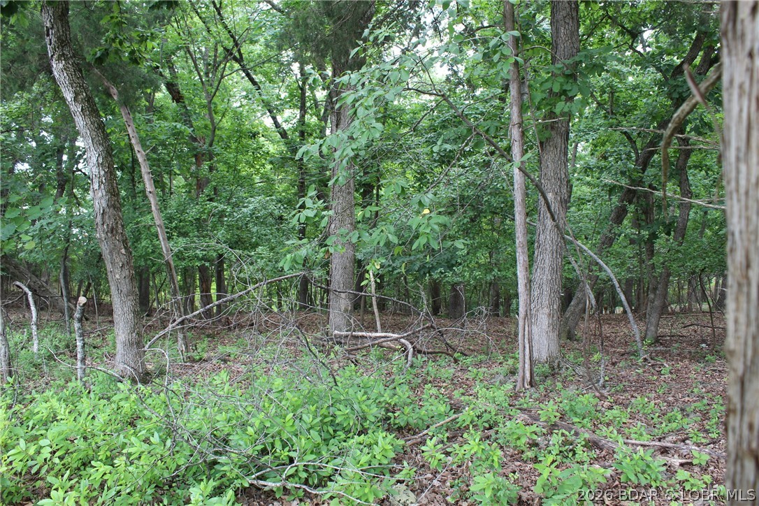 Island View Acres - Land