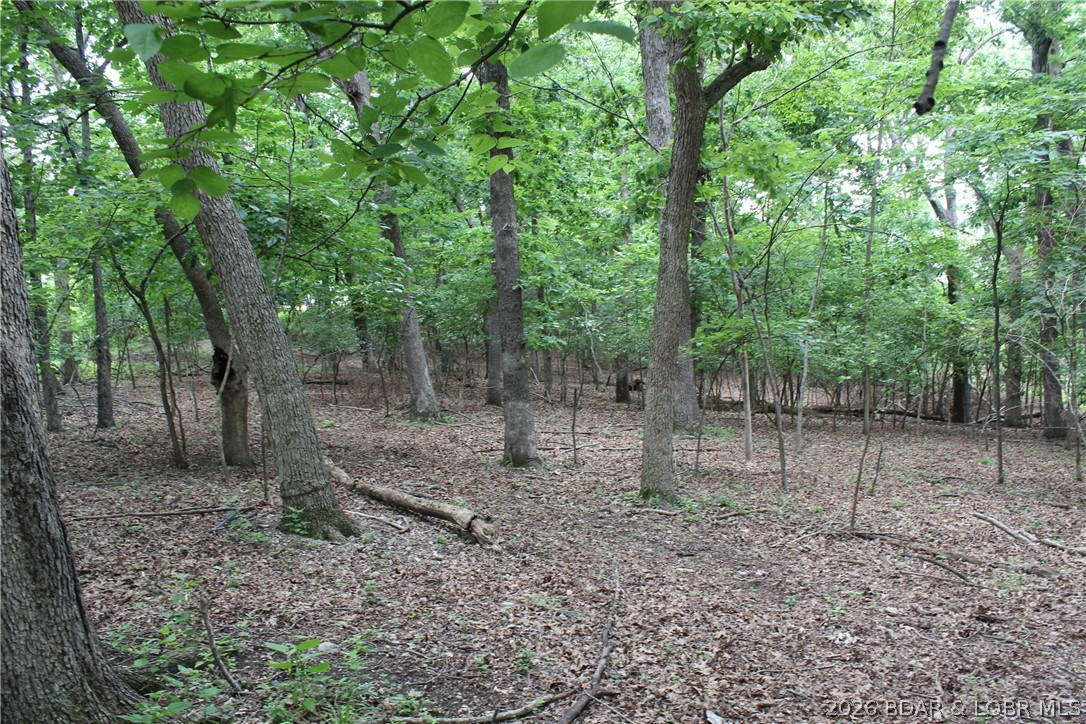 Island View Acres - Land