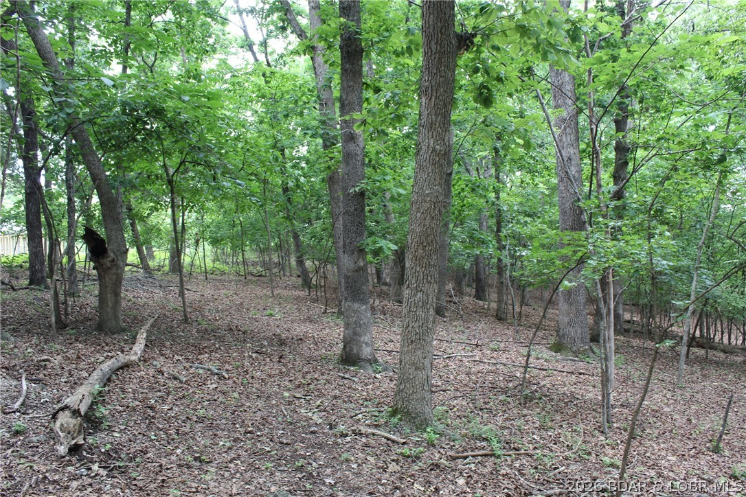 Island View Acres - Land