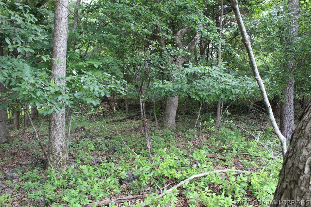Island View Acres - Land