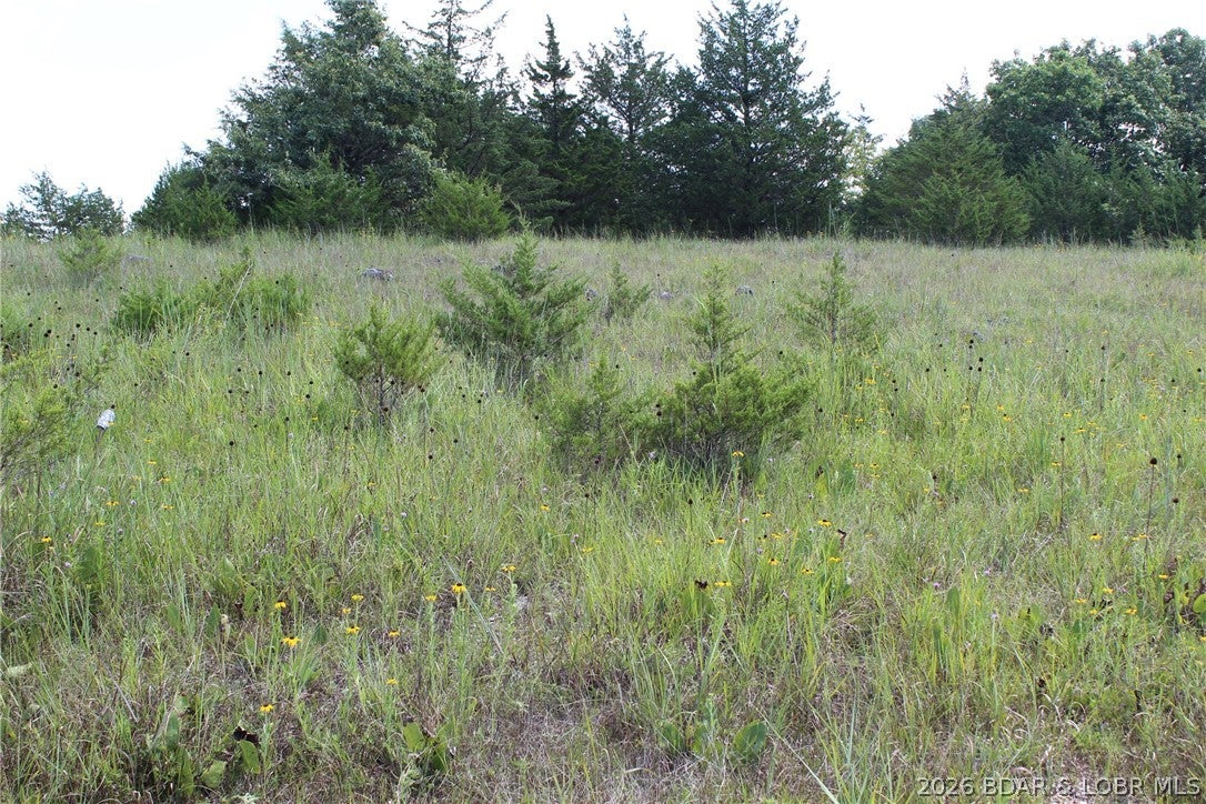 Indian Creek Hills - Land