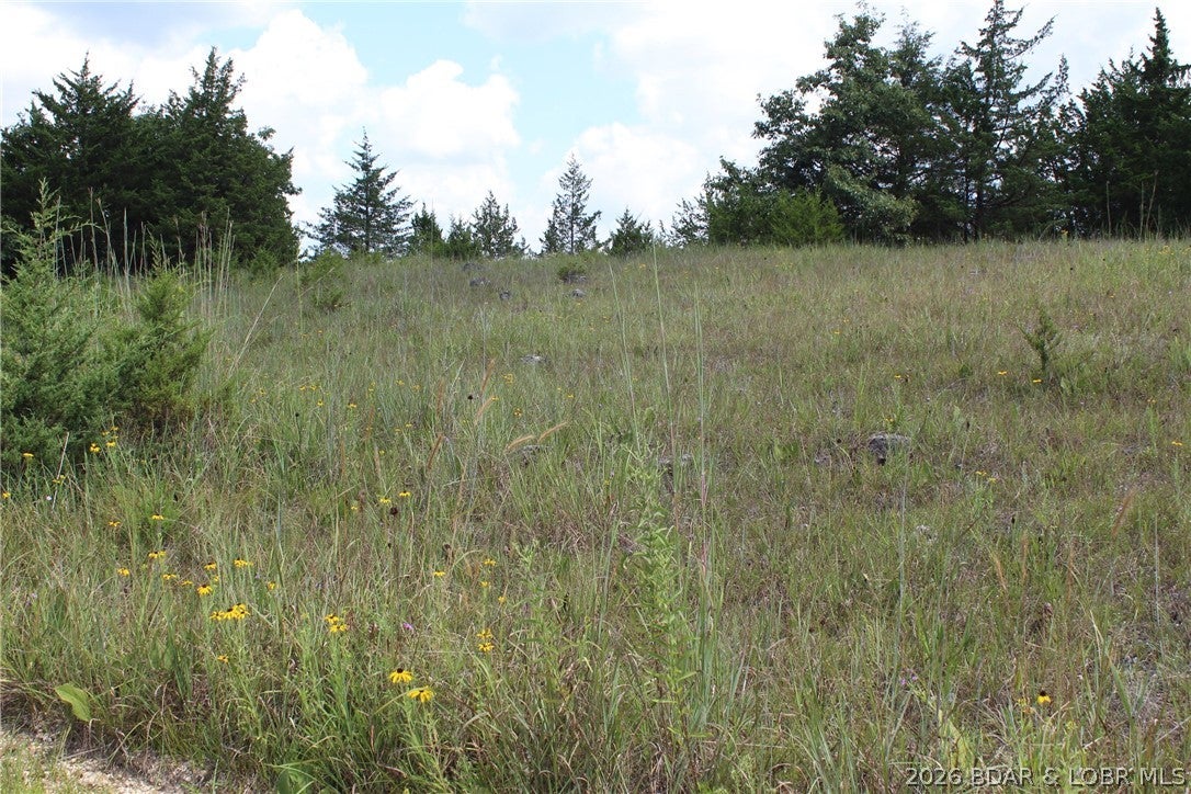 Indian Creek Hills - Land