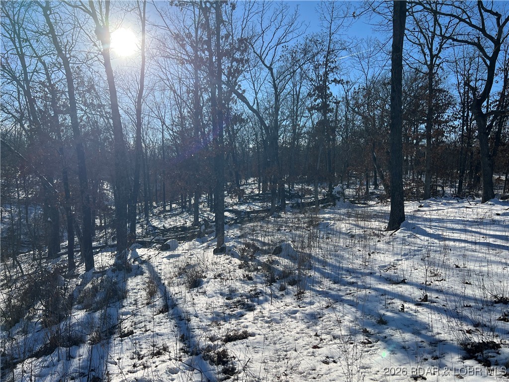 Whispering Oaks - Land