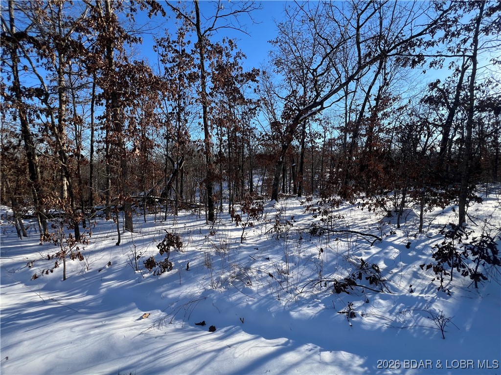 Whispering Oaks - Land