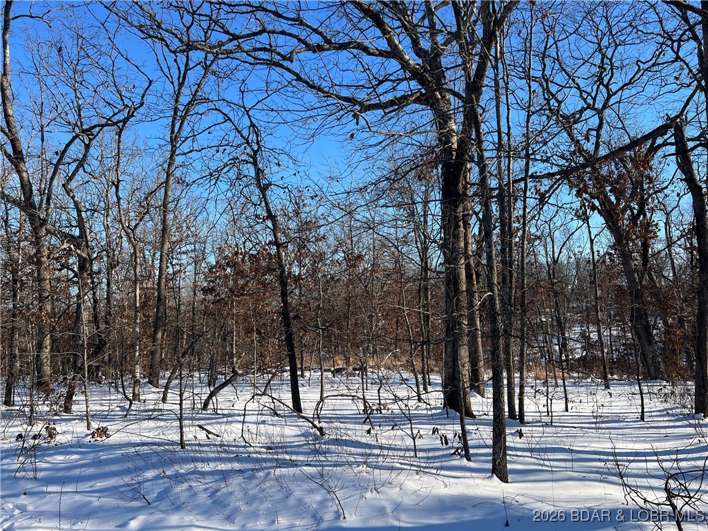 Whispering Oaks - Land