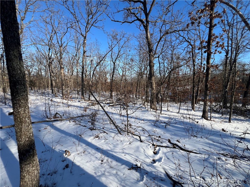Whispering Oaks - Land