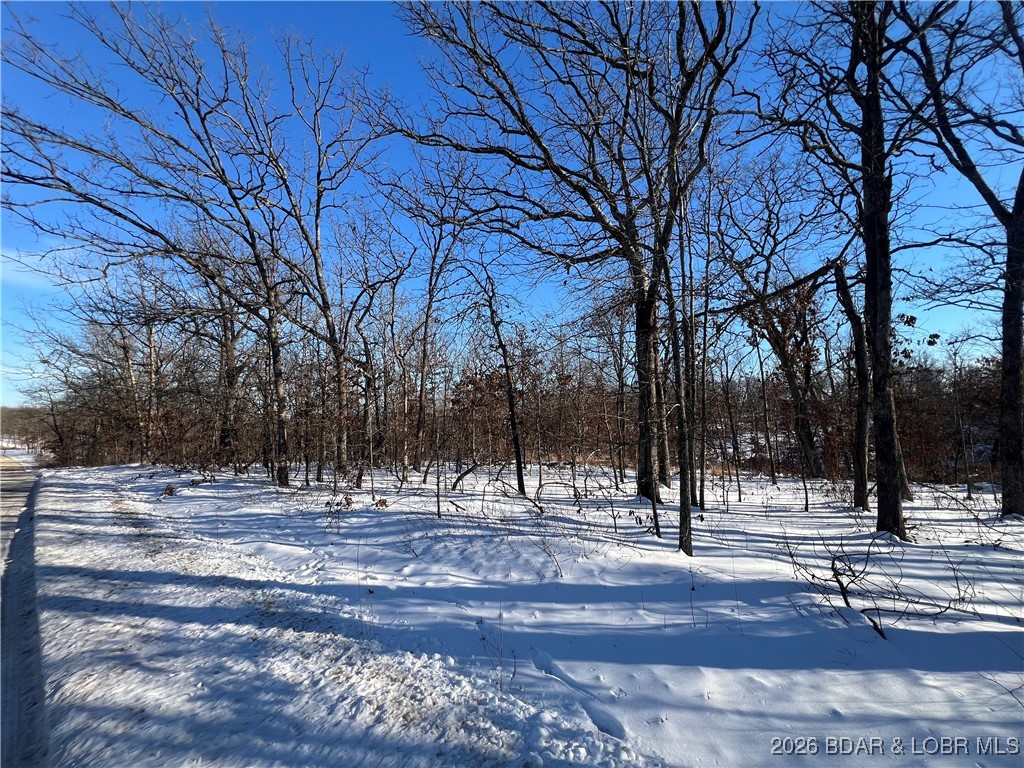 Whispering Oaks - Land