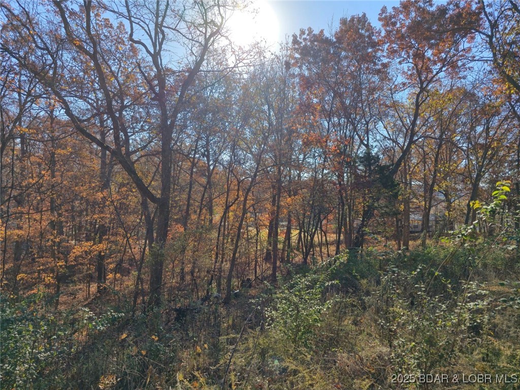 Wildwood - Land