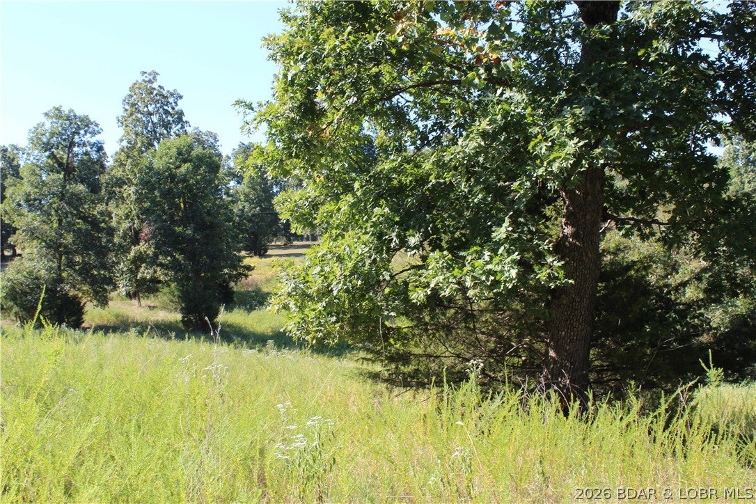 Nice seasonal lakeview lot in Johnsons Bay/Country Life Acres Subdivision. Community water and sewer help reduce costs to build your dream home at Lake of the Ozarks. Deeded lake access via community boat ramp.