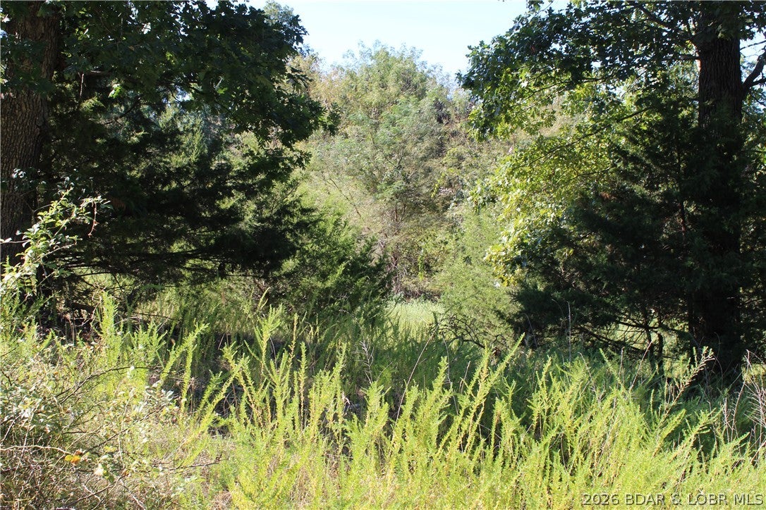 Country Life Acres - Land