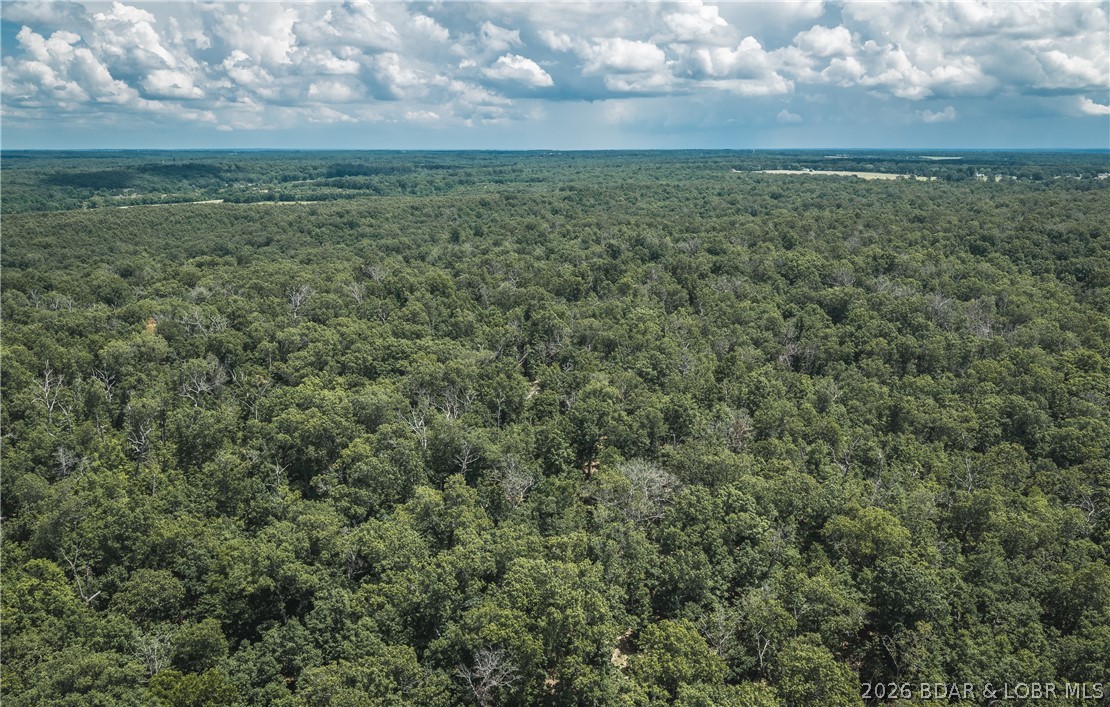 40 m/l acre tract located in Camden County. This tract has mature, old growth ,marketable timber. Great deer and turkey hunting.  Close proximity to the little Niangua creek and Lake Of the Ozarks for great fishing and recreation. An access road is being put in the center between the tracts and will have an electric access easement in place along it. More tracts available. Tracts to be surveyed. Owner will entertain selling other options.