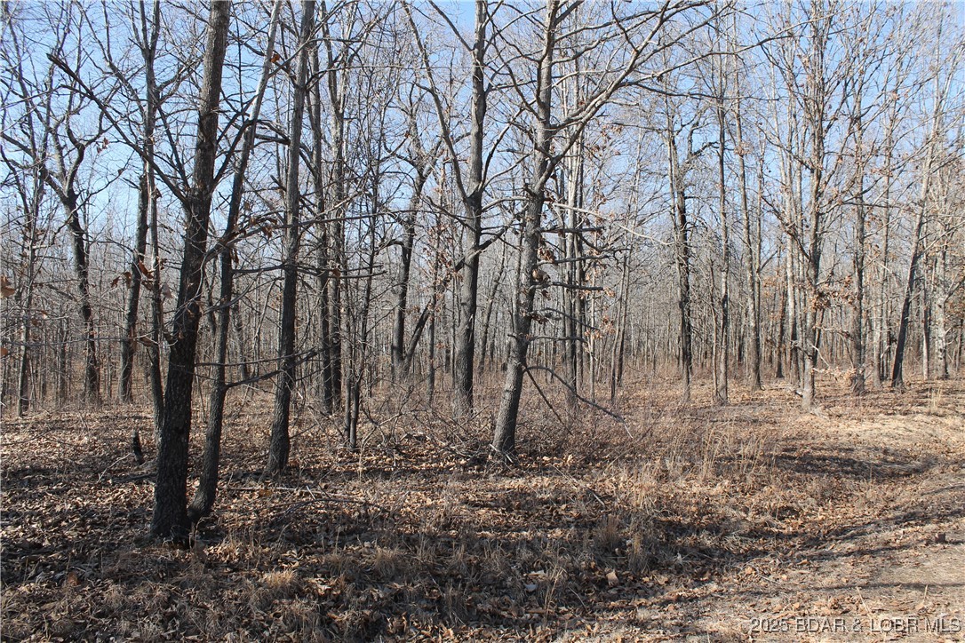 Discover your perfect getaway! This beautiful lot offers the ideal setting to build your dream home or vacation retreat. Located in thegated Forbes Lake of the Ozarks community, you’ll enjoy the tranquility of nature with deer, turkey, and abundant wildlife all around.Residents have access to amenities including 3 interior lakes, 3 boat ramps on the quieter side of Lake of the Ozarks, tennis court, anRV park, day docks, and more. Conveniently situated just 30 minutes from Warsaw, 45 minutes to Camdenton, and just over 2 hoursfrom Kansas City, this property combines peaceful seclusion with easy accessibility. Opportunities like this don’t come often—make ityours today!
