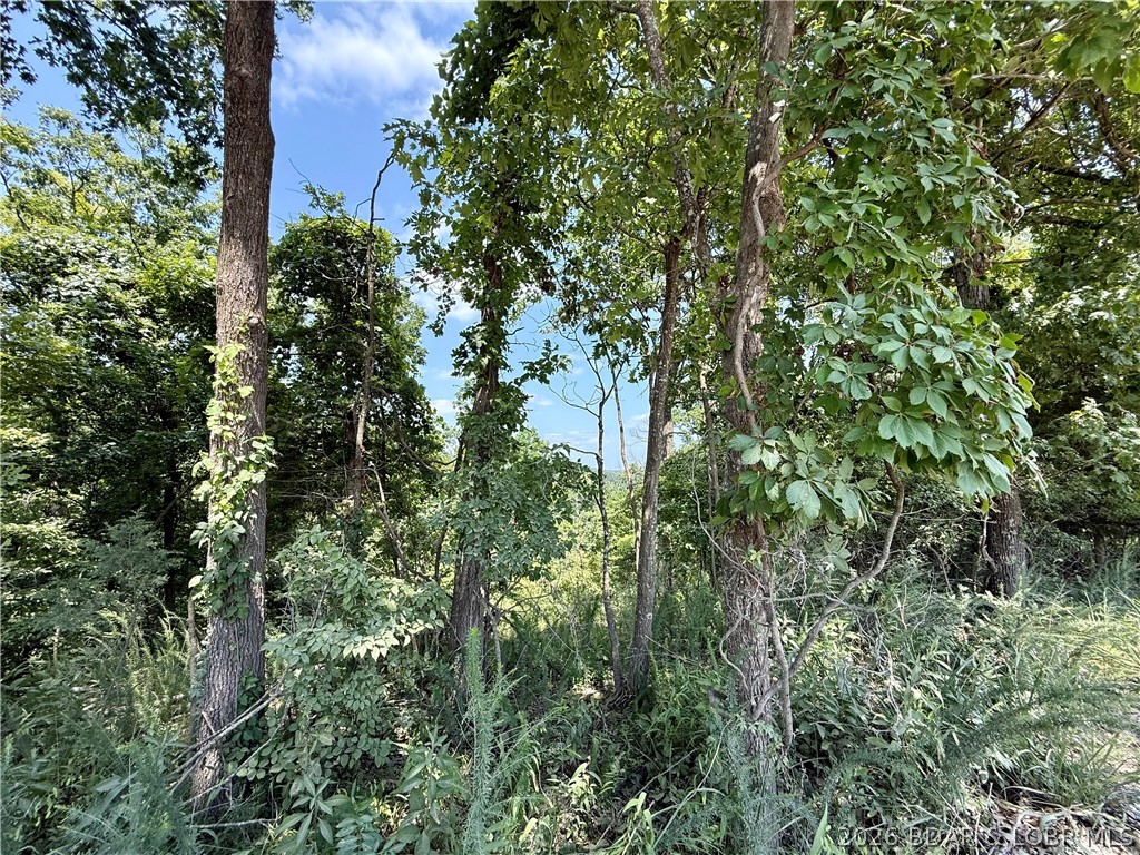 Ozark Hills - Land