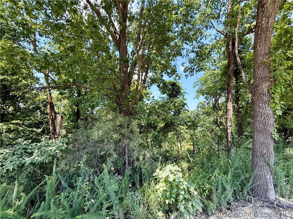 Ozark Hills - Land