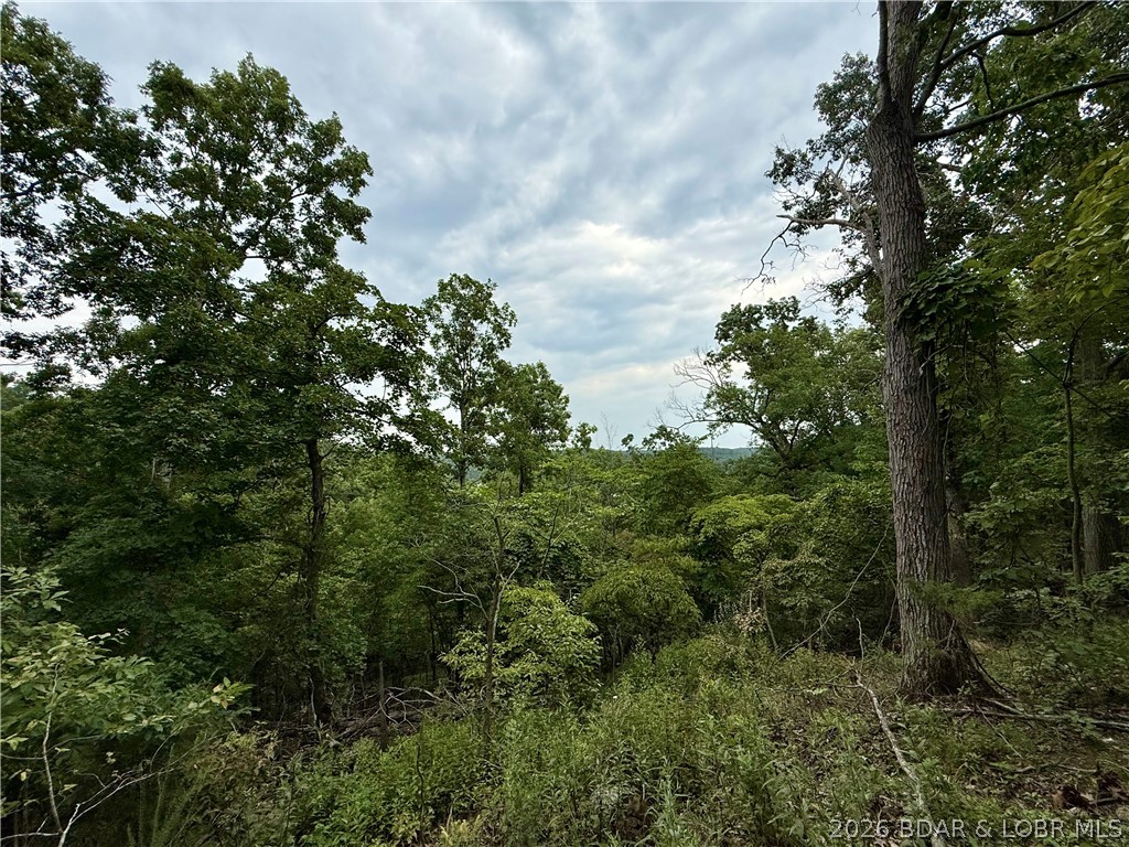 Rare opportunity to own 1.07 acres consisting of two combined lots in Ozark Hills at the Lake of the Ozarks! This beautiful property offers the flexibility to build your dream home, create a peaceful vacation getaway, or establish the perfect camping or RV retreat. The wooded setting provides privacy while offering plenty of space to design your ideal homesite. Enjoy lake season, summer weekends, and relaxing evenings just minutes from the water. Conveniently located near the 65 MM on the Osage Arm, you'll be close to popular waterfront destinations including Bottoms Up, Patriot Point, and The Wet Spot. Boating access is just minutes away at the Brown Bend Public Access Boat Ramp, and the Ozark Hills POA community dock features 4 boat slips and 2 PWC slips. Whether you're looking to build a full-time residence, create the perfect weekend getaway, or invest in a future lake property, this versatile acreage offers endless possibilities in a desirable lake-area community.