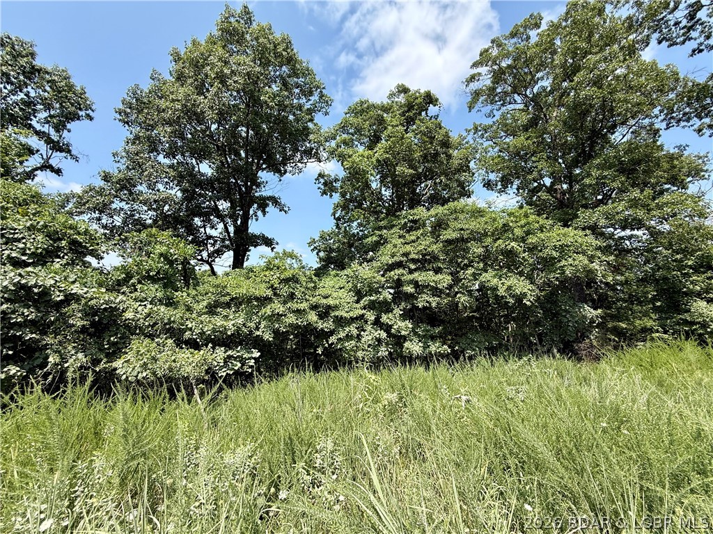 Ozark Hills - Land