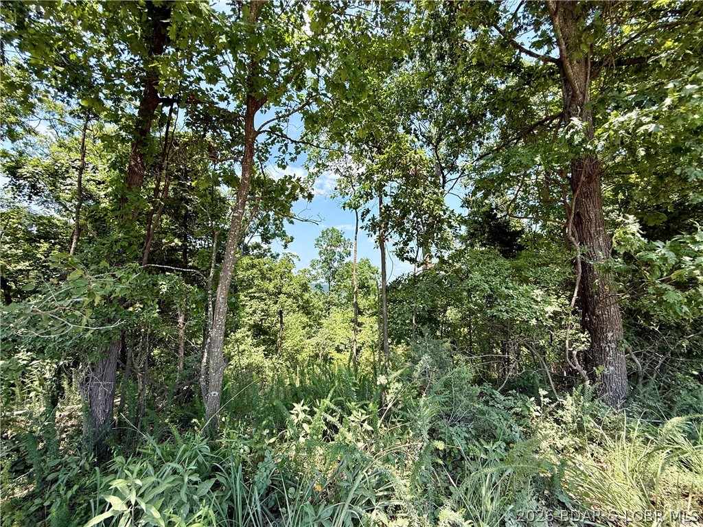 Ozark Hills - Land