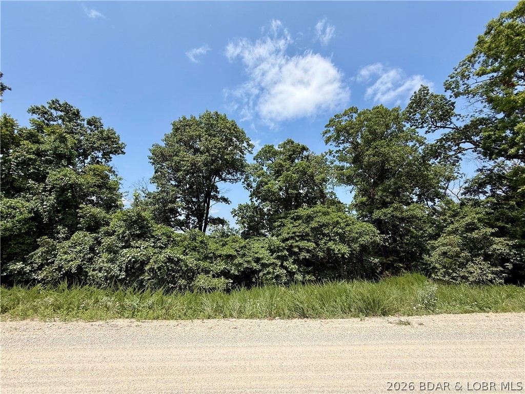 Ozark Hills - Land