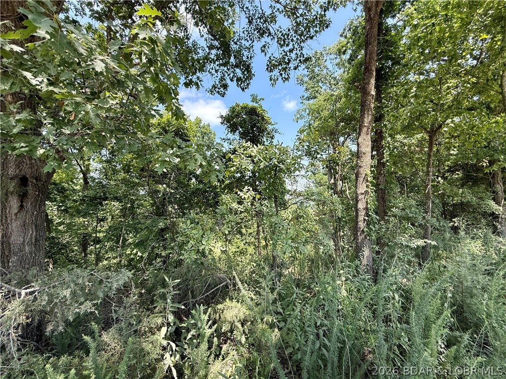 Ozark Hills - Land