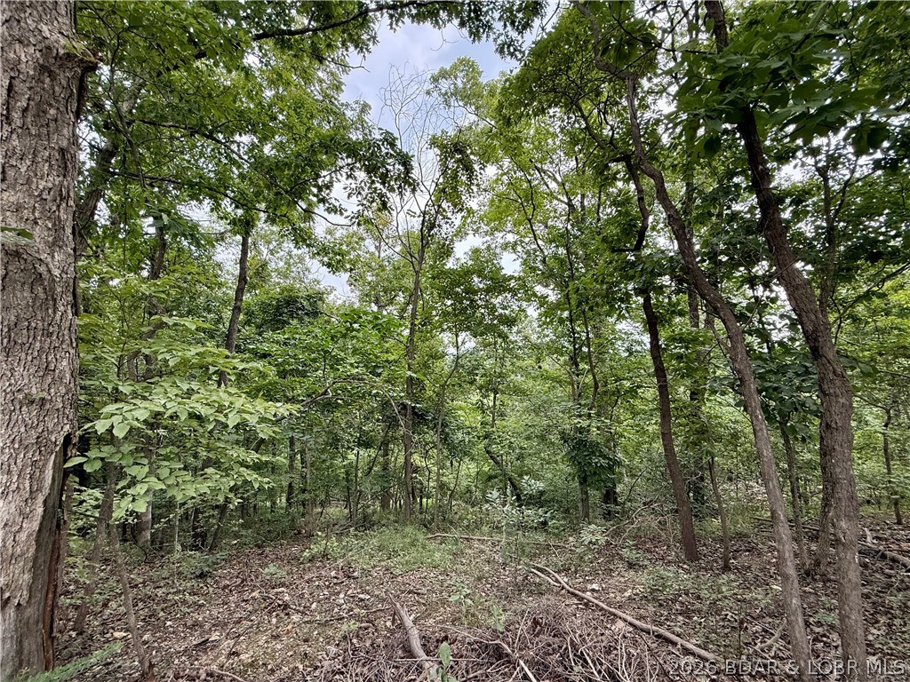 Ozark Hills - Land
