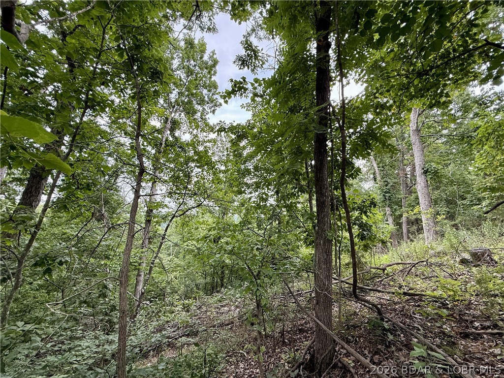 Ozark Hills - Land