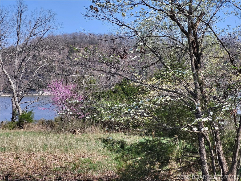 Lakefront living starts here. This level lot offers incredible main channel views of Lake of the Ozarks while still providing the benefit of calmer waters—perfect for swimming, fishing, and easy boating. Tucked inside a gated community, you’ll enjoy both peace of mind and convenient access. With water, sewer, and electric already in place, this property is ready when you are to start building. Whether you envision a full-time residence or a weekend escape, this lot delivers the ideal setting to create your own lake retreat and enjoy everything the lake lifestyle has to offer.