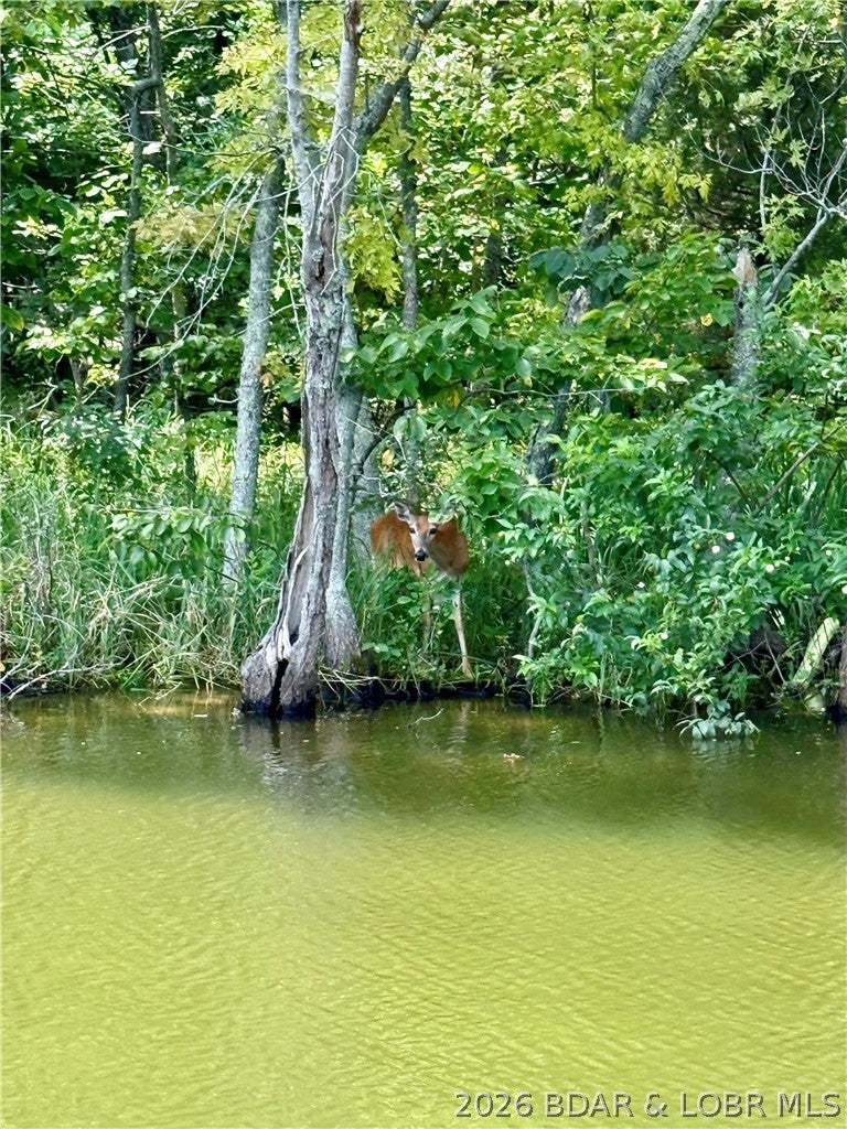 Coffman Bend #1 - Land
