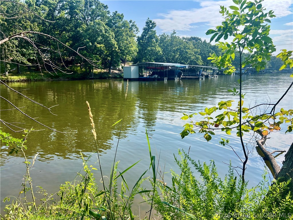 Coffman Bend #1 - Land