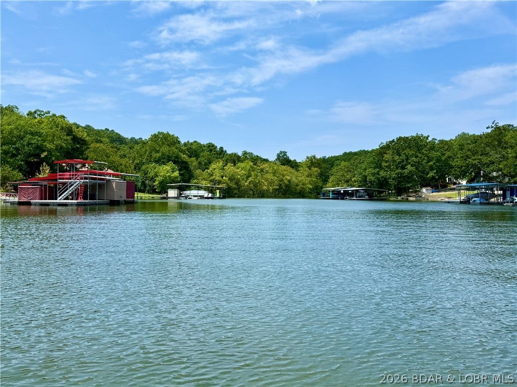 Coffman Bend #1 - Land