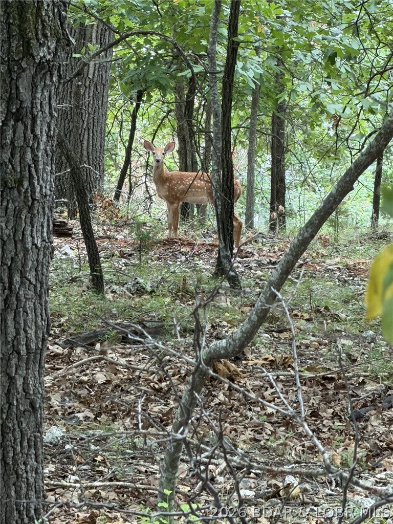As the Lake is growing rapidly don't miss your opportunity to own a nice lot in the Four Seasons area. This property has a lake view and is located in a peaceful neighborhood. Plenty of wildlife to see from any direction. Don't miss out!