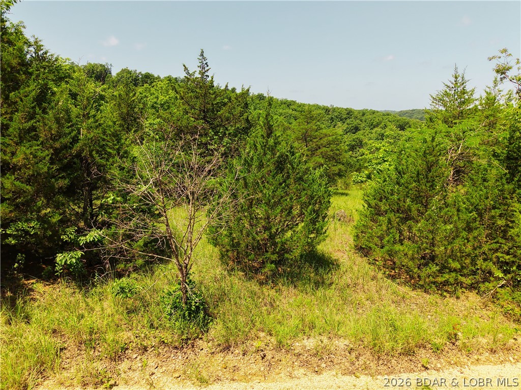 Indian Creek Hills - Land