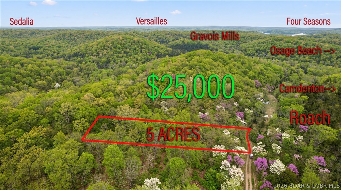Great 5 acres of land located just outside of Camden County's Planning & Zoning District with NO ZONING.  You can use this property as you please.  This is a great opportunity to buy and build whatever you want, or just hold it as a place to enjoy, ride ATV's, shoot guns, whatever you desire.  No restrictions!