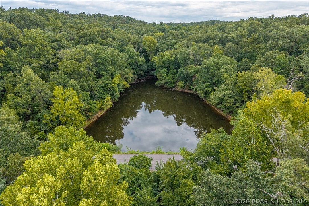 Discover the perfect blend of privacy, natural beauty, and convenience with this 10.77-acre property located on a paved road and less than a mile from public lake access. Featuring a very large pond, this mostly wooded tract offers a peaceful setting with plenty of potential for your dream home or private getaway. With mature trees, a scenic pond, and room to create your ideal homesite, this raw land provides the opportunity to enjoy country living while still being conveniently close to the lake and all the recreation it has to offer.