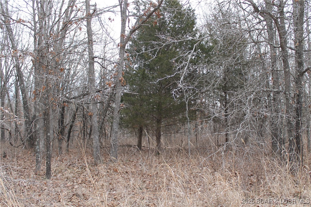 The perfect lot for your dream home or weekend getaway! Enjoy abundant deer, turkey & wildlife in the peaceful gated community of Forbes Lake of the Ozarks. Amenities include 3 interior lakes, 3 boat ramps to the calmer side of Lake of the Ozarks, tennis court, RV park & more. Don’t miss this opportunity!