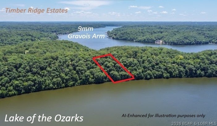 Timber Ridge - Land
