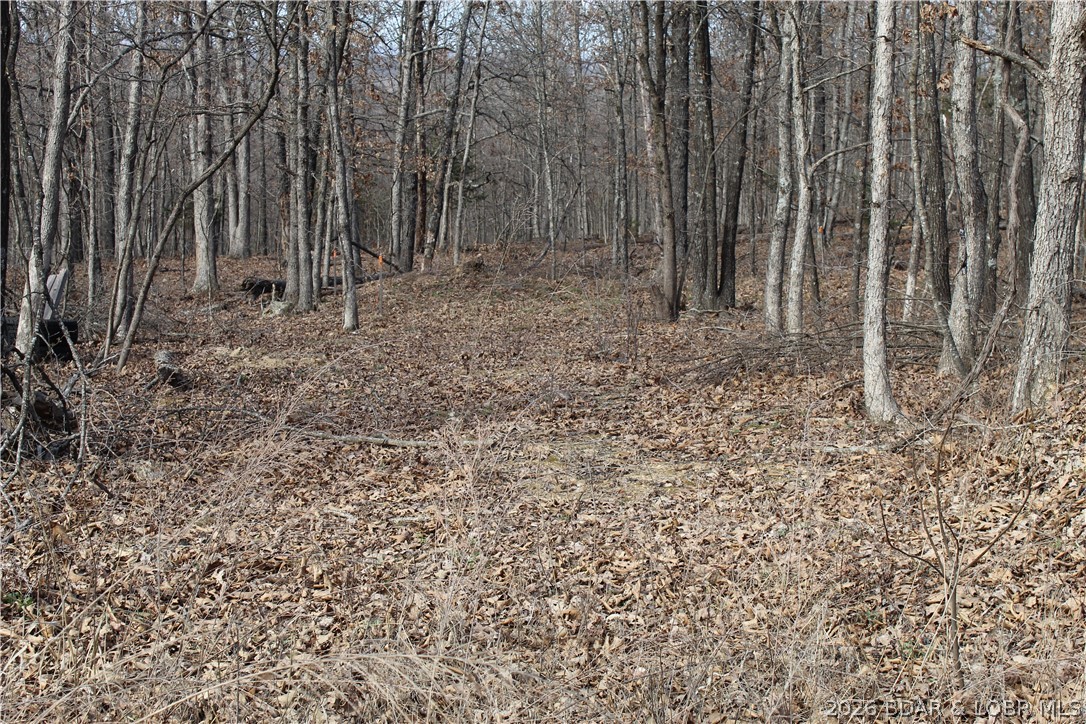 Triangular parcel in Proctor Tower Estates just 10 minutes north of Laurie on Hwy 135 and only 4 miles to lake access in Proctor Cove. Nice setting for a hunting cabin, camping spot or build your dream acreage! Come tour your new slice of the Ozarks today!